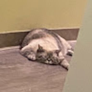 Meet your Posher, Zaeda